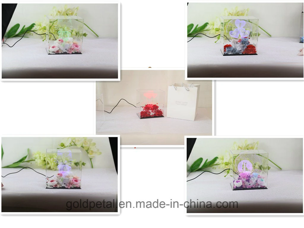 Valentine′s Day Christams Gift 3D Acrylic Light Night Lamp Scene with Preserved Flowers